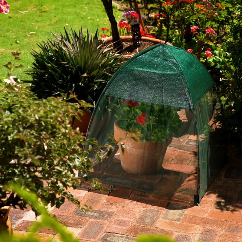 14390 Sun & Insect Mesh Cover credit: Garden Gurus
