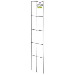 Ridged Wall Trainer