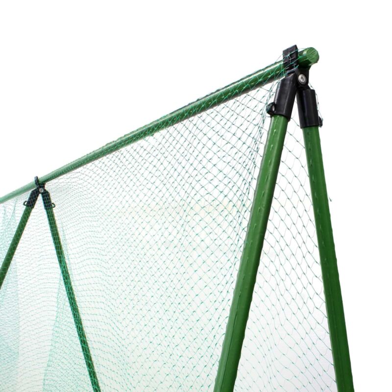 Pea & Bean Frame