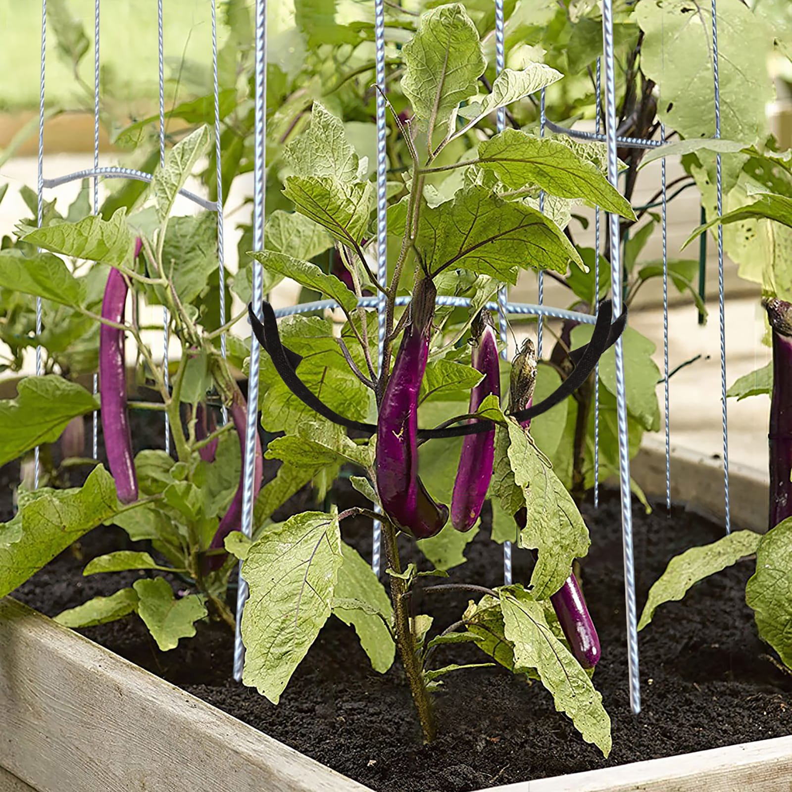 18295 Grip & Grow Freestanding Curved Vegie Frame