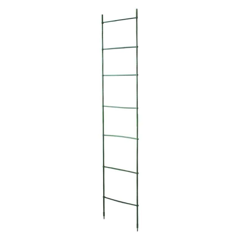 Garden ladder trellis for vertical growing support