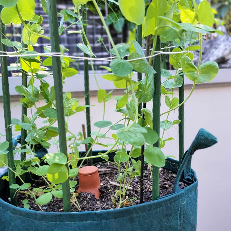 Garden stakes lifestyle credit: up_on_the_roof