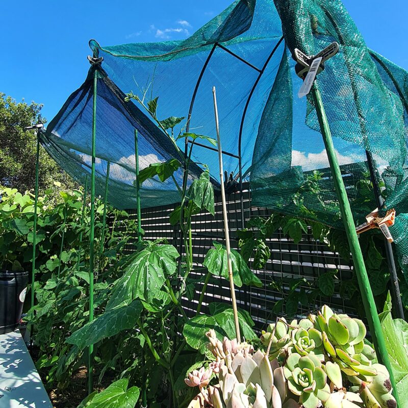 Garden stakes lifestyle credit: up_on_the_roof