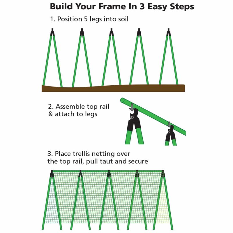 Pea & Bean Frame