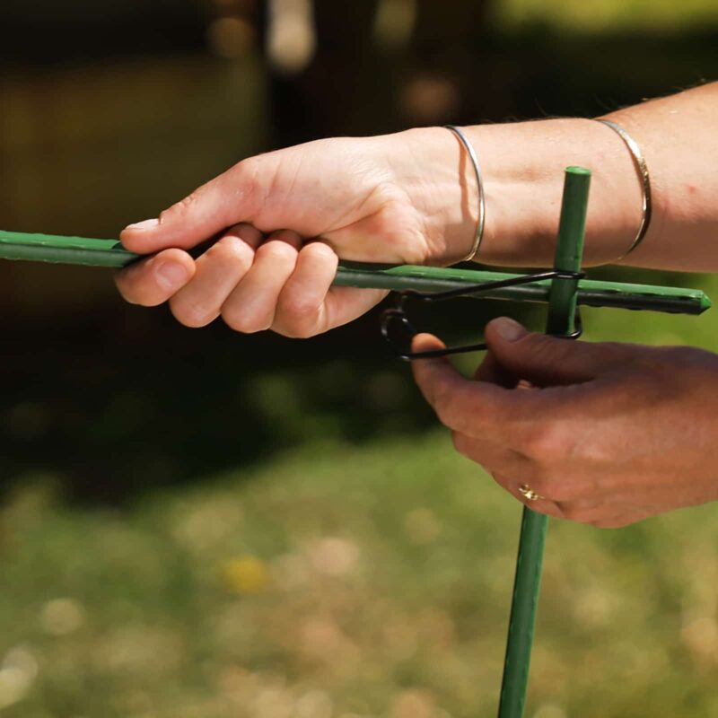 Crop Cage credit: Garden Gurus