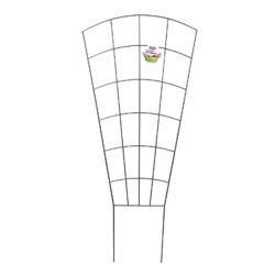 Decorative Fan Trainer