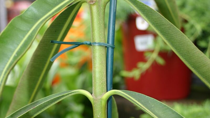 18723 Twist Ties Cut Lengths 200mm Green Lifestyle