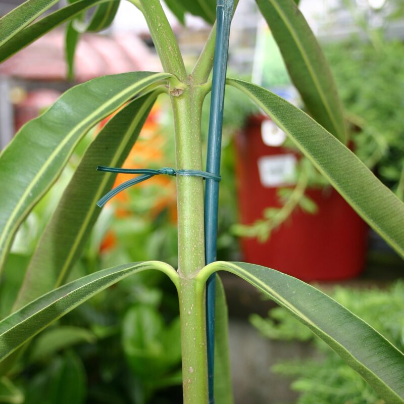 18723 Twist Ties Cut Lengths 200mm Green Lifestyle