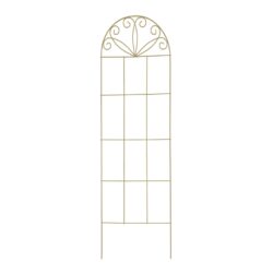 18767 Scroll Trainers 1800mm Olive