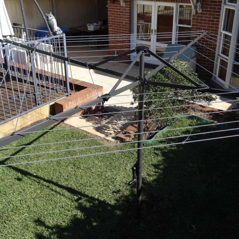 Metal trellis structure for supporting climbing plants