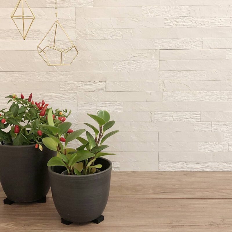 31045 Decorator Rock Tile 5pce Alabaster