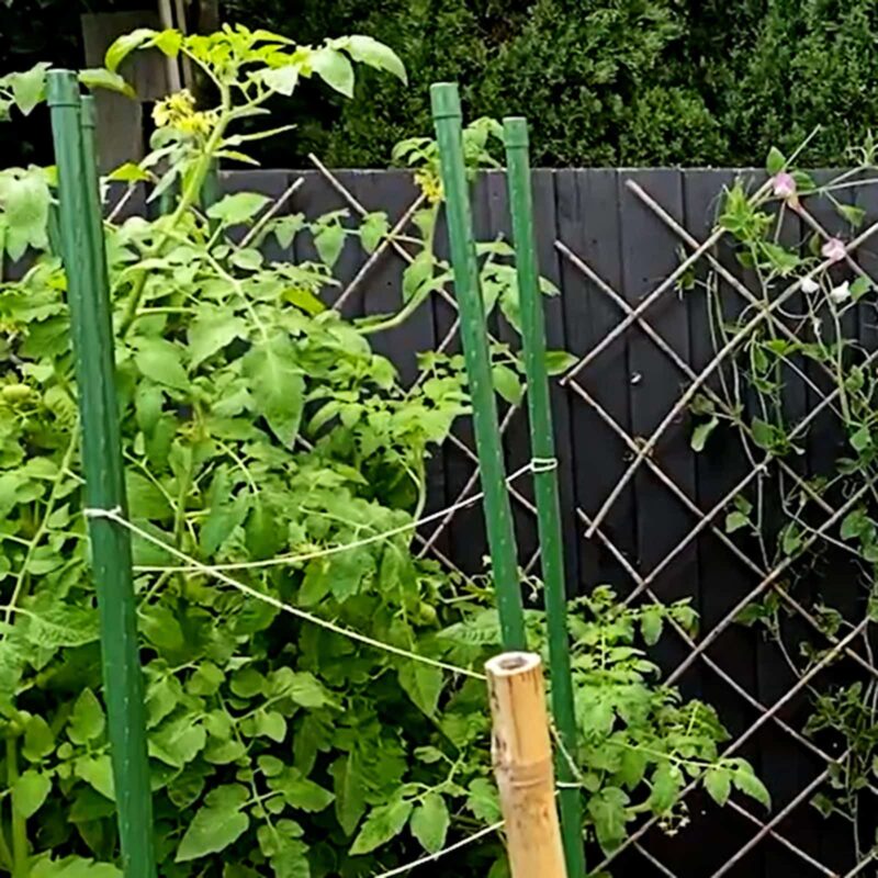Garden stakes lifestyle credit: elisabethgardengirl