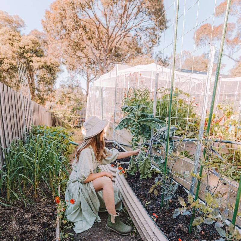 Garden stakes lifestyle credit: connieandluna