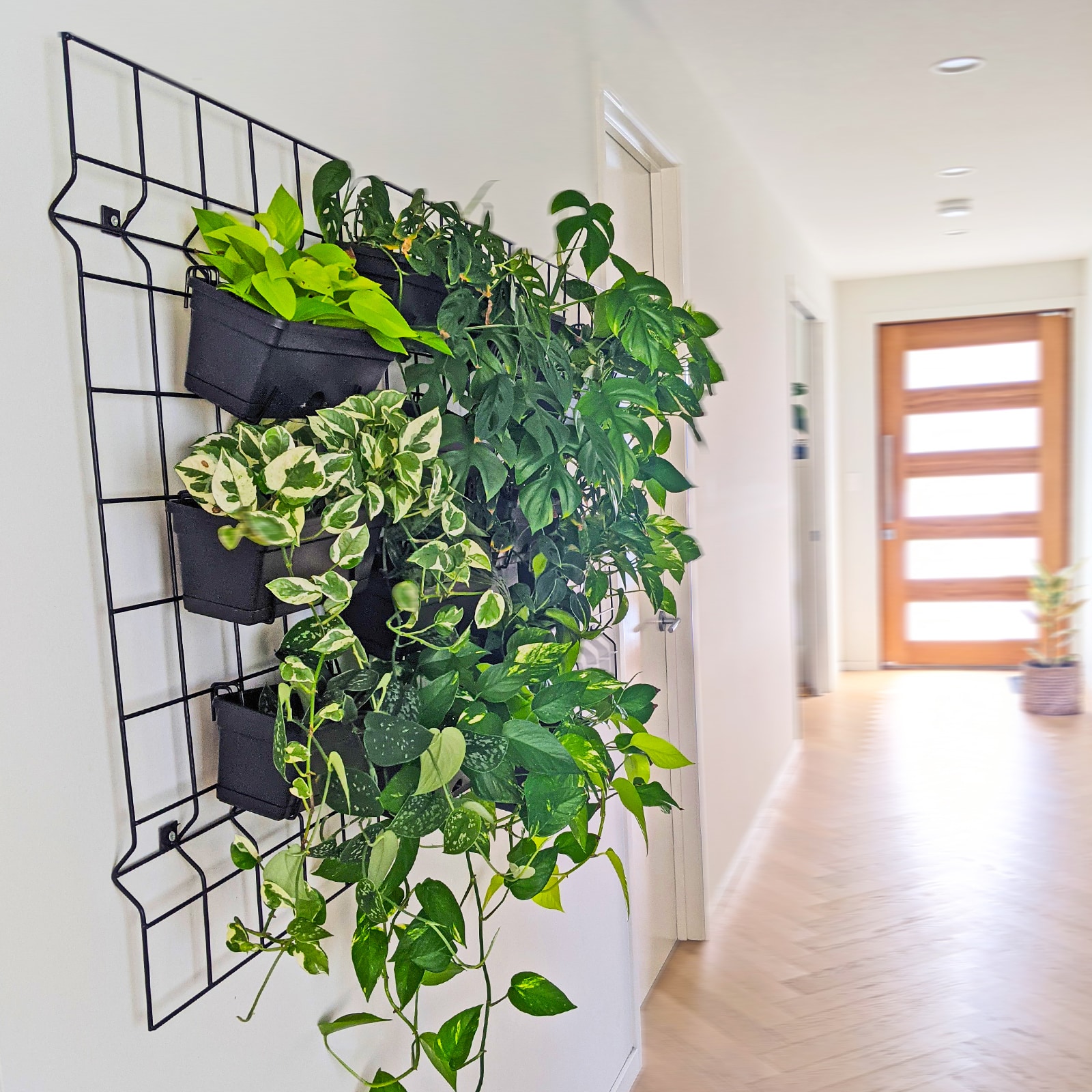 18442 Garden Up classic pot charcoal lifestyle 2 - credit: @followmemedia