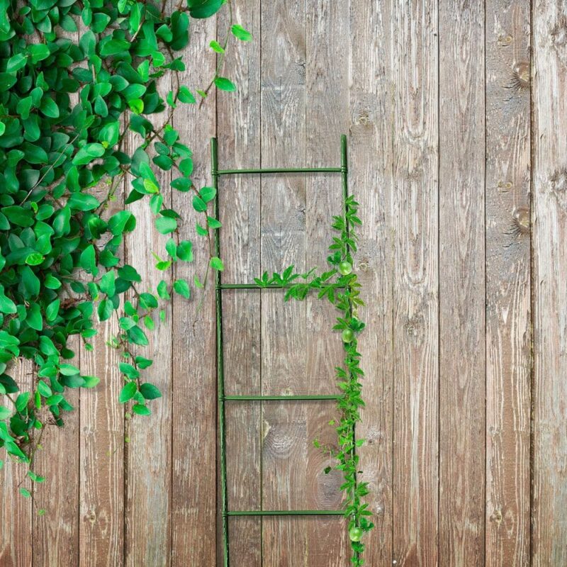Pea and bean ladder stake kit supporting climbing plants in garden beds