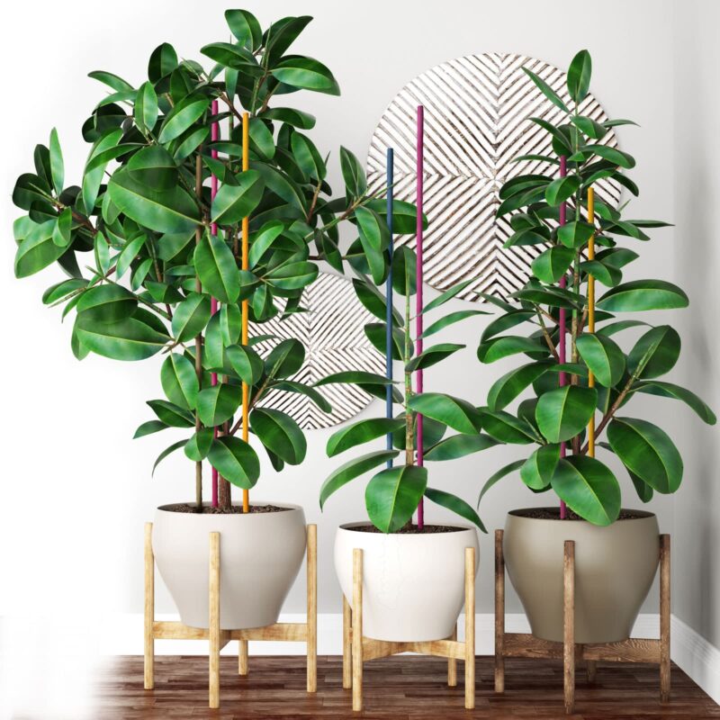 Deco Stakes indoor pot plants Lifestyle