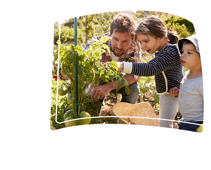 Good-support-system-