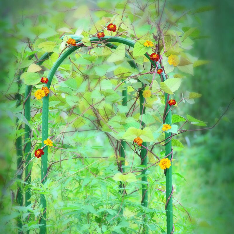 18592 Garden U-Hoops lifestyle