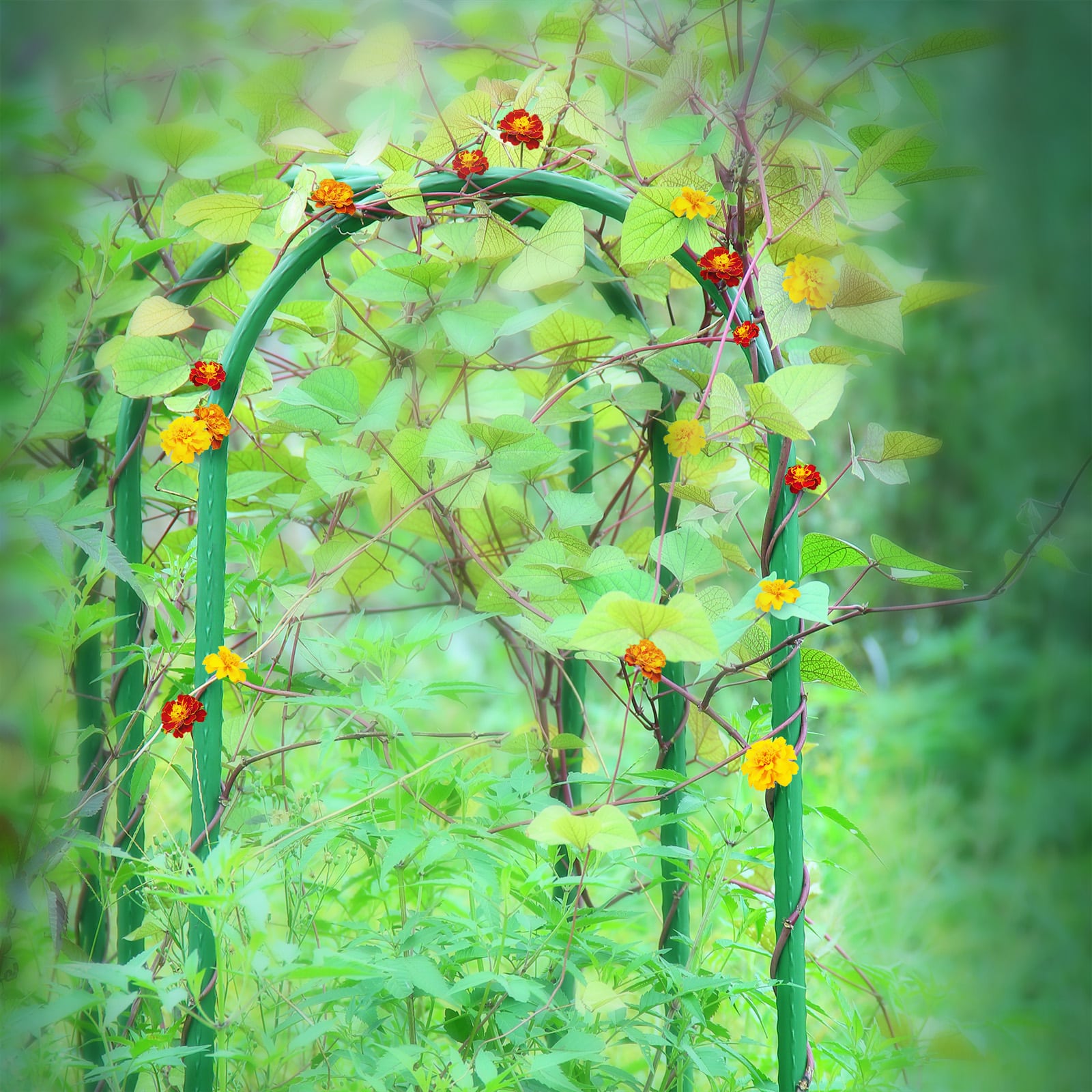 18592 Garden U-Hoops lifestyle