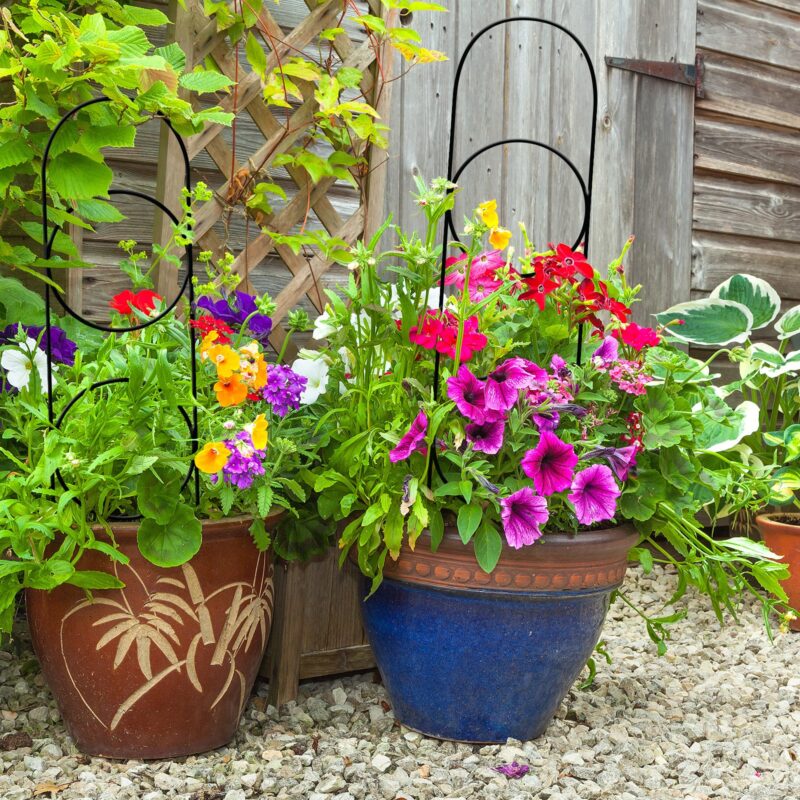 18593 2-Ring Pot Trellis lifestyle