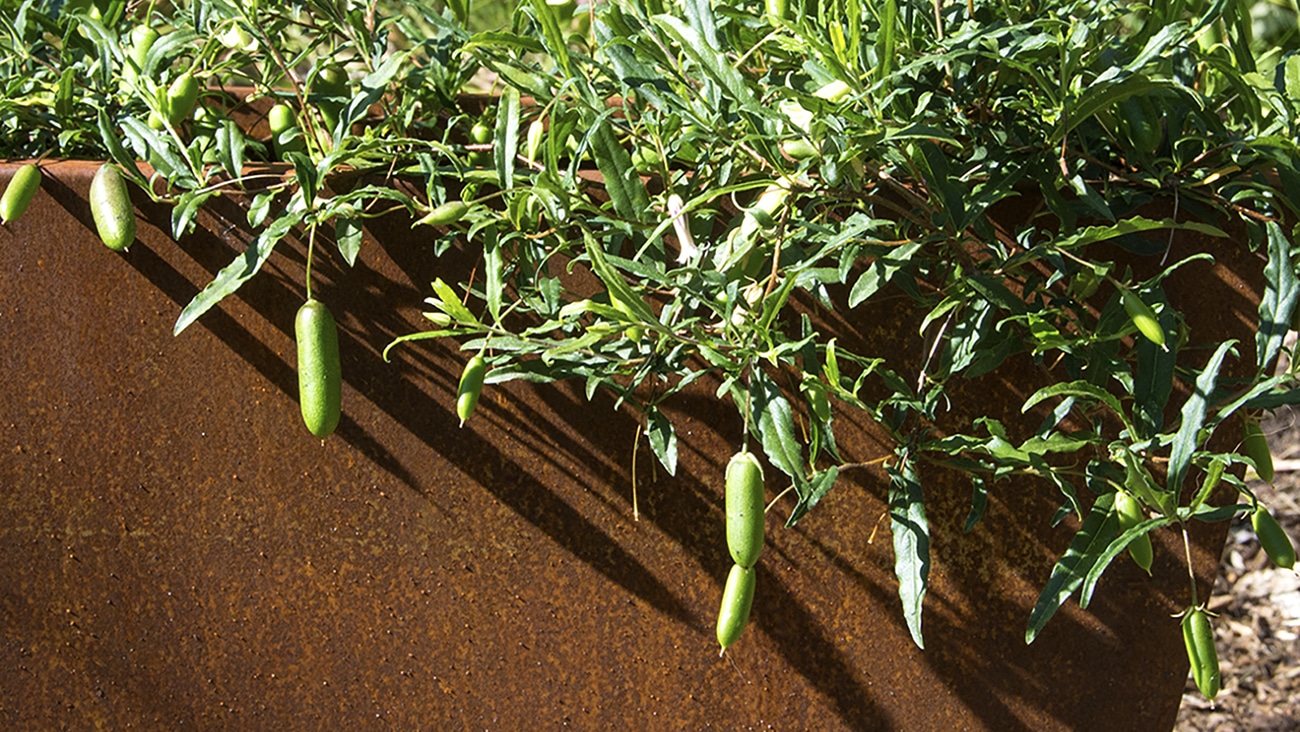 oxy-shield-casa-planter---pauline-reynolds---lifestyle-1