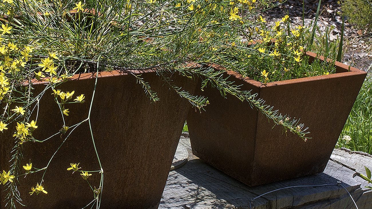 oxy-shield-copa-planters---pauline-reynolds---lifestyle-1