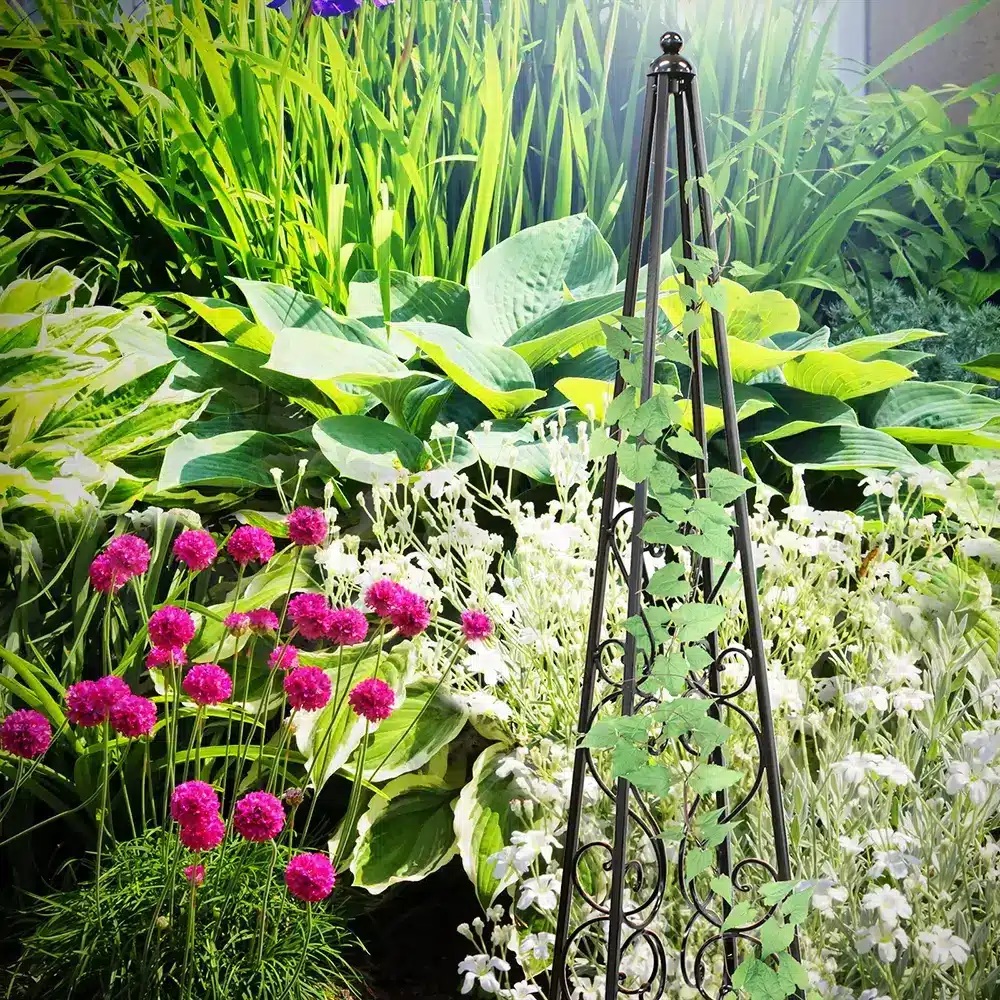 jack elise scroll obelisk plant trellis using jack products