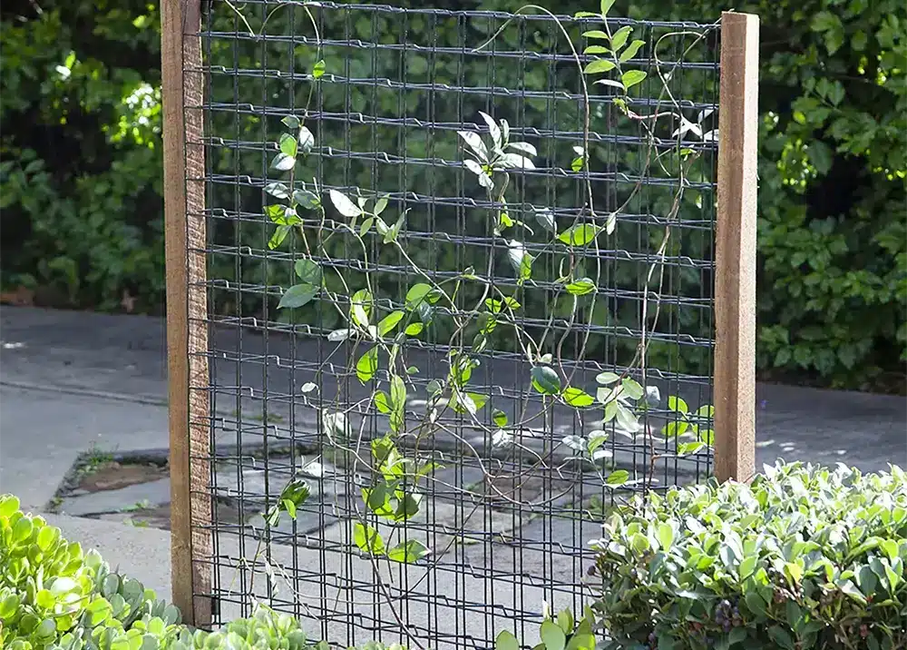 jack grip and grow 3d mesh plant trainer