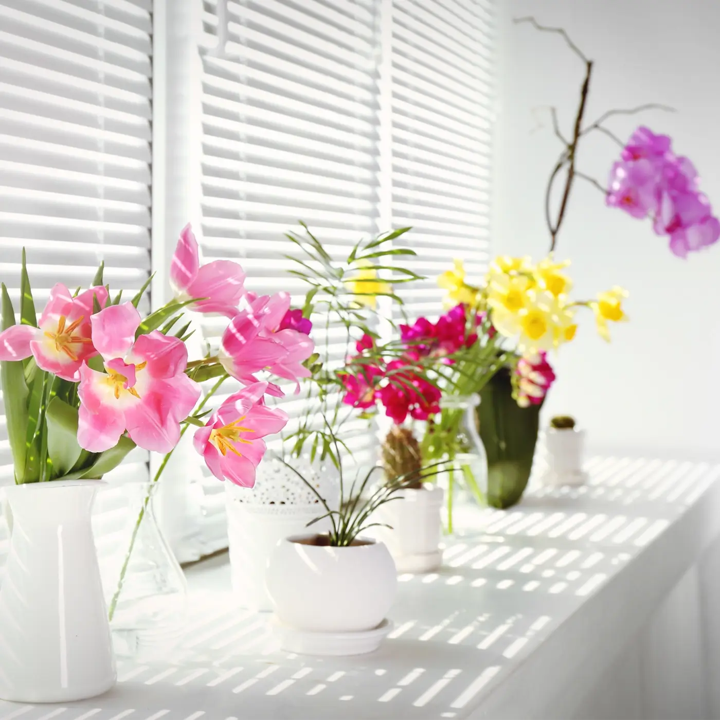 Jack looking after indoor flowers