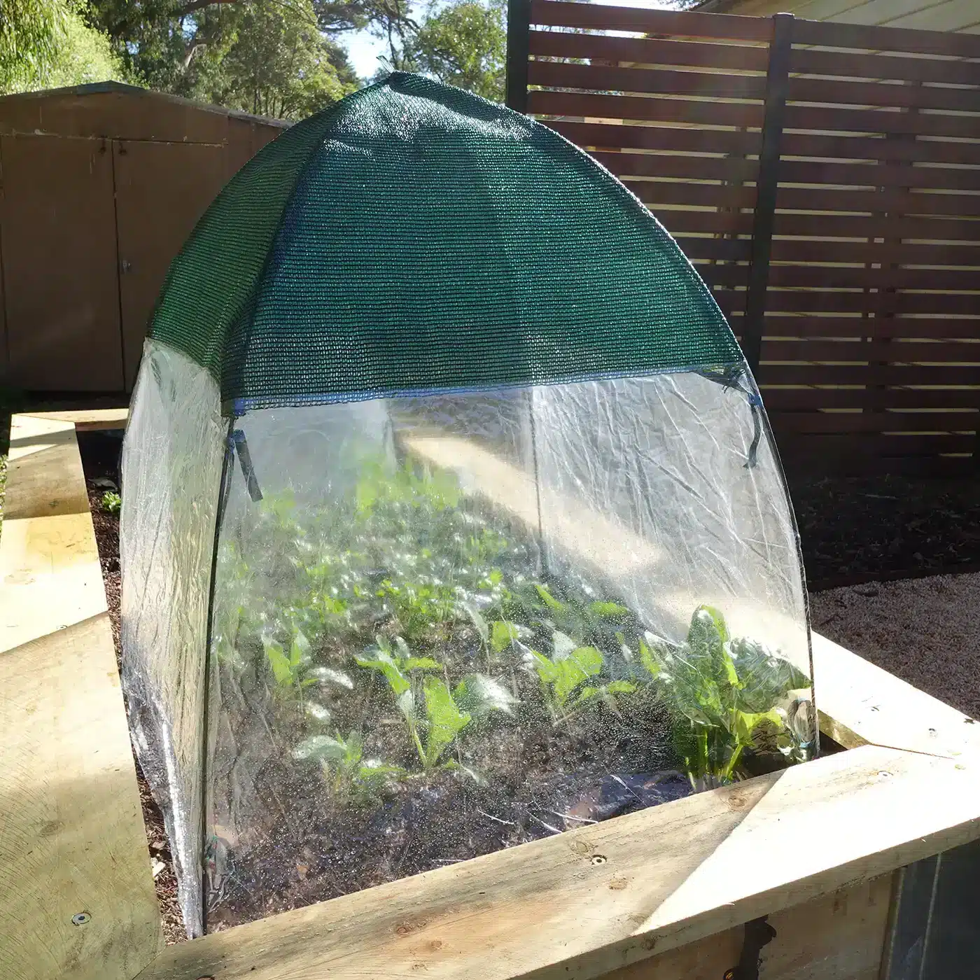 Jack ward off pests weather plant protection all-weather plant cover