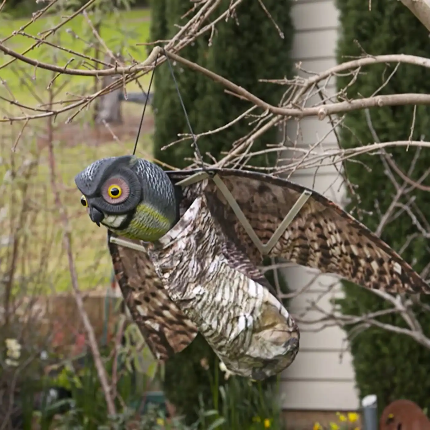 Jack ward off pests prowling owl