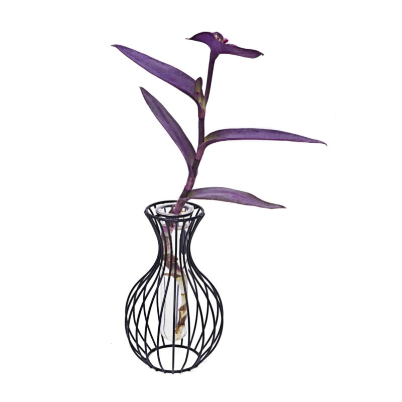 Jack 18906 propagation vase