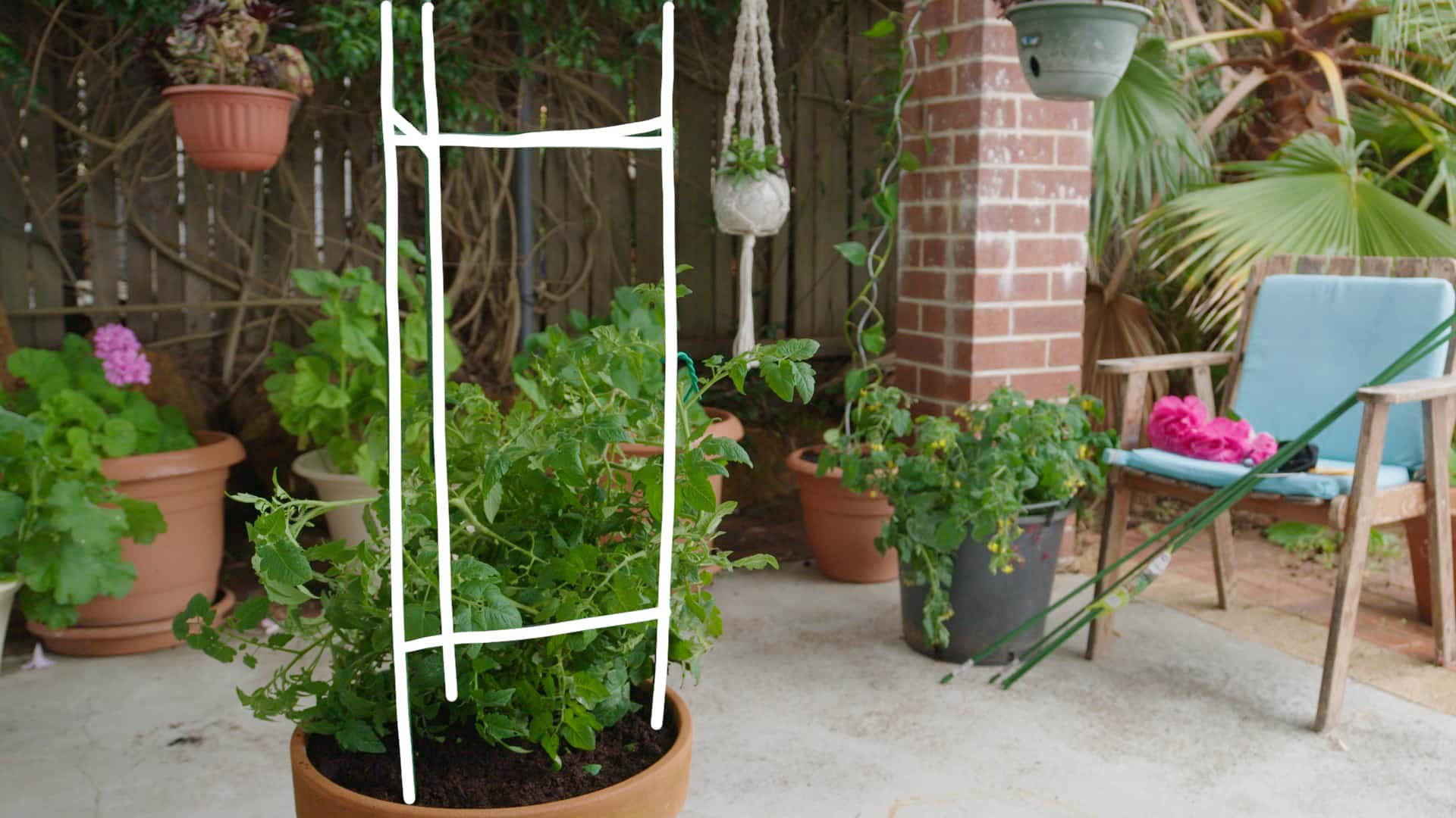 Jack Pick the perfect garden stake