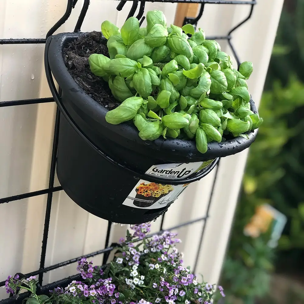 jack vertical garden products garden-up terrace pot her kitchen garden