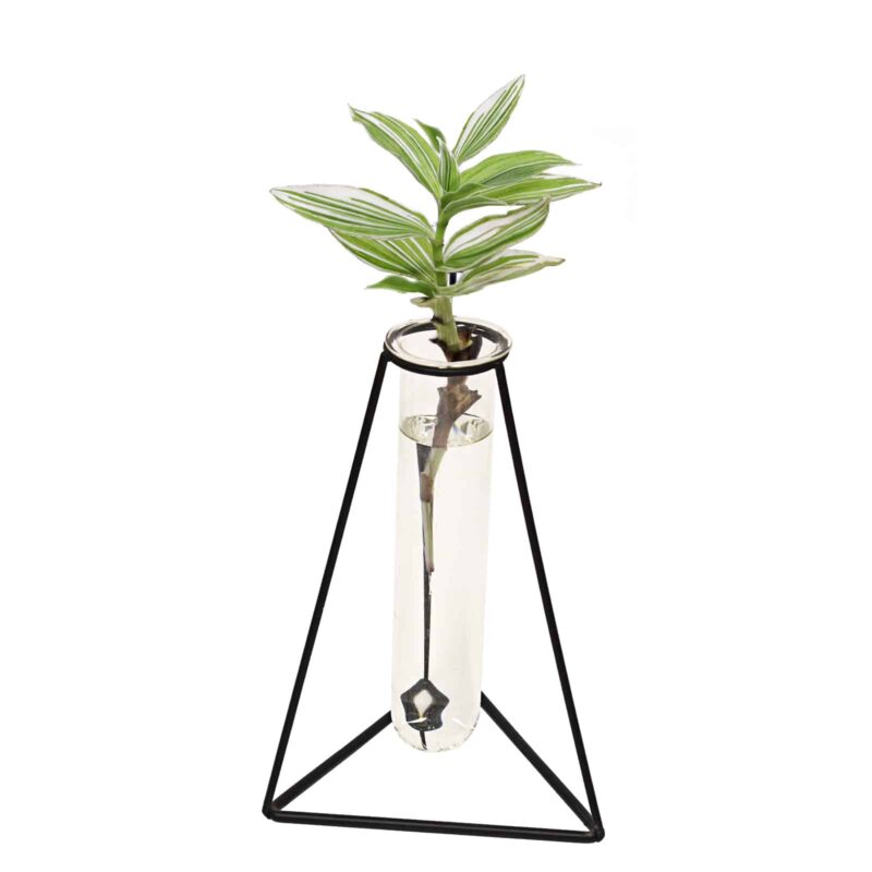 Jack Gro-Tube Propagation Vase Triangle Black 18904