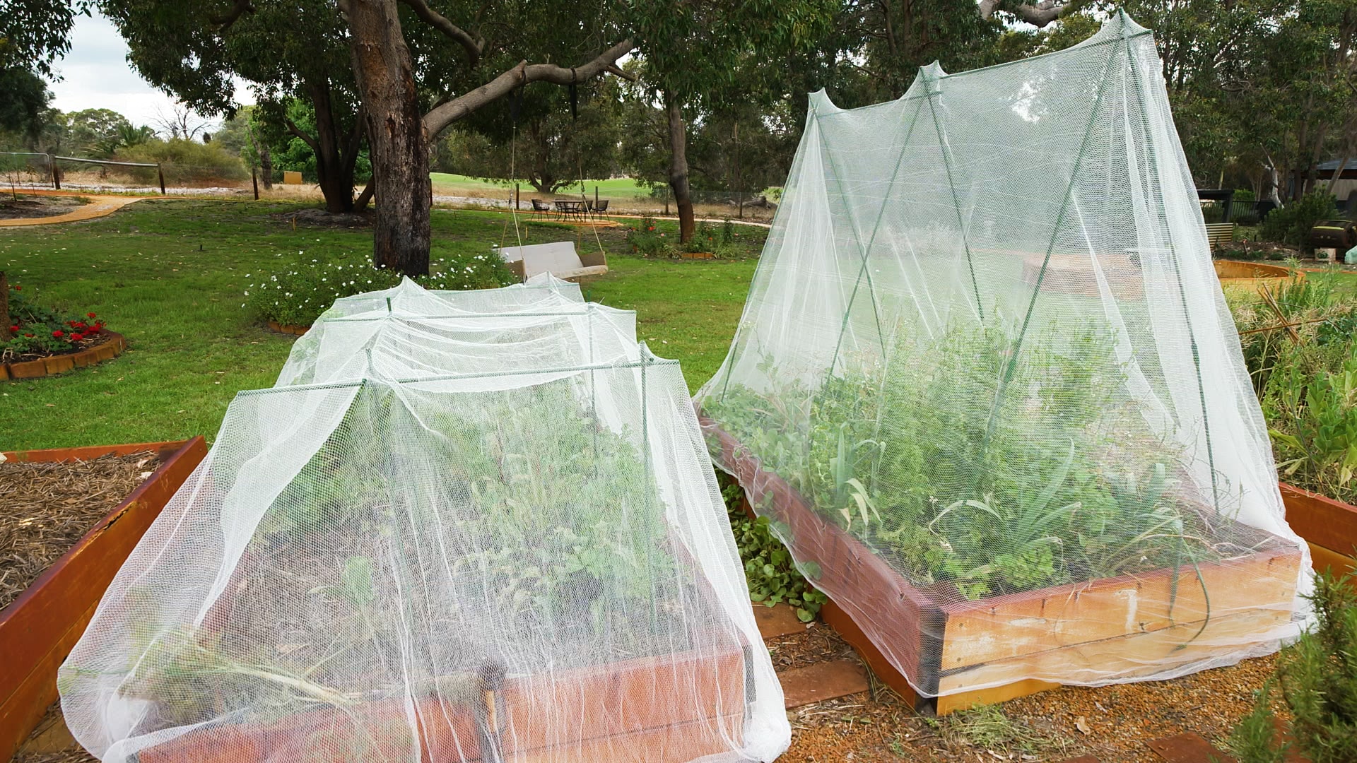 Jack Crop cages- how to install