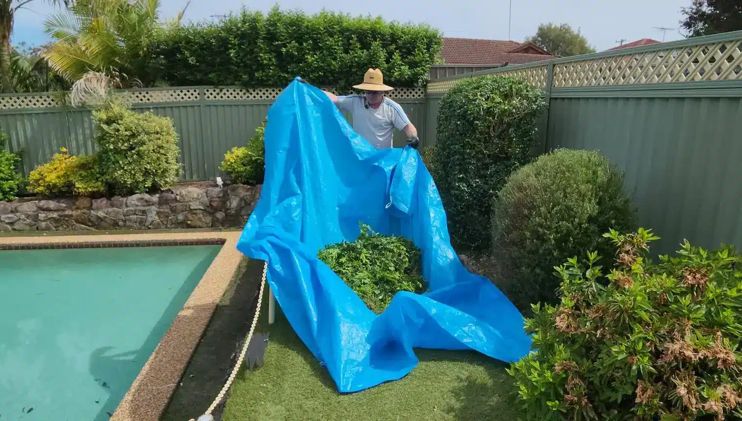 jack garden clean up tree trimming with tarp
