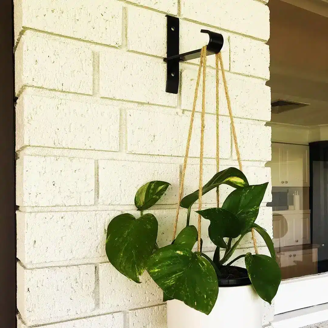 jack garden-up brick bracket hanging garden clean up