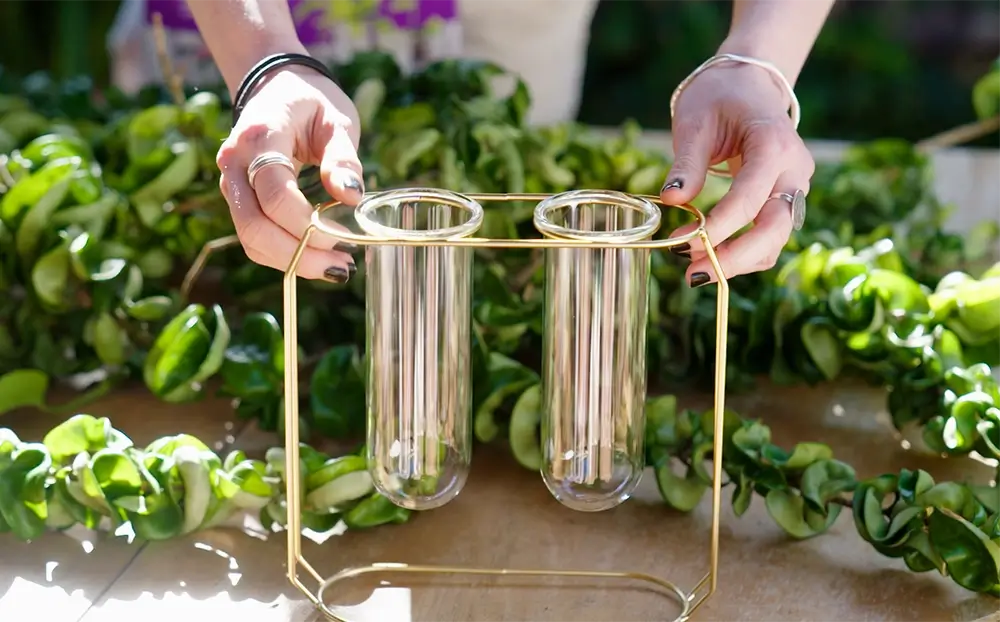 jack gardening advice plant propogating products stylish