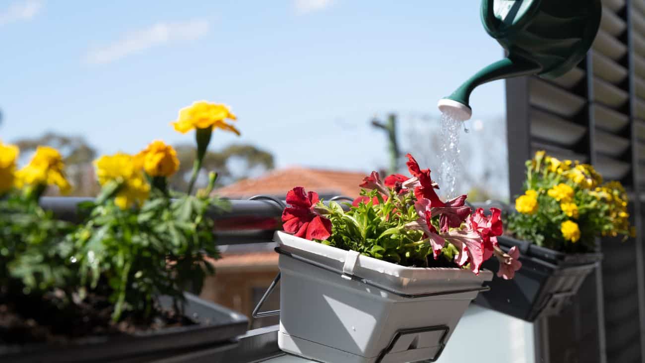 Balcony garden feature