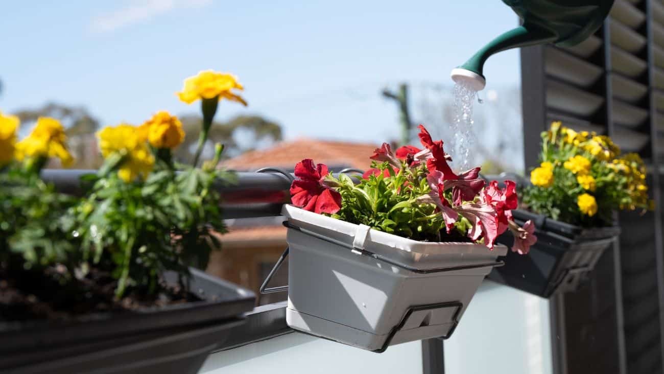 Jack Balcony garden terrace pot