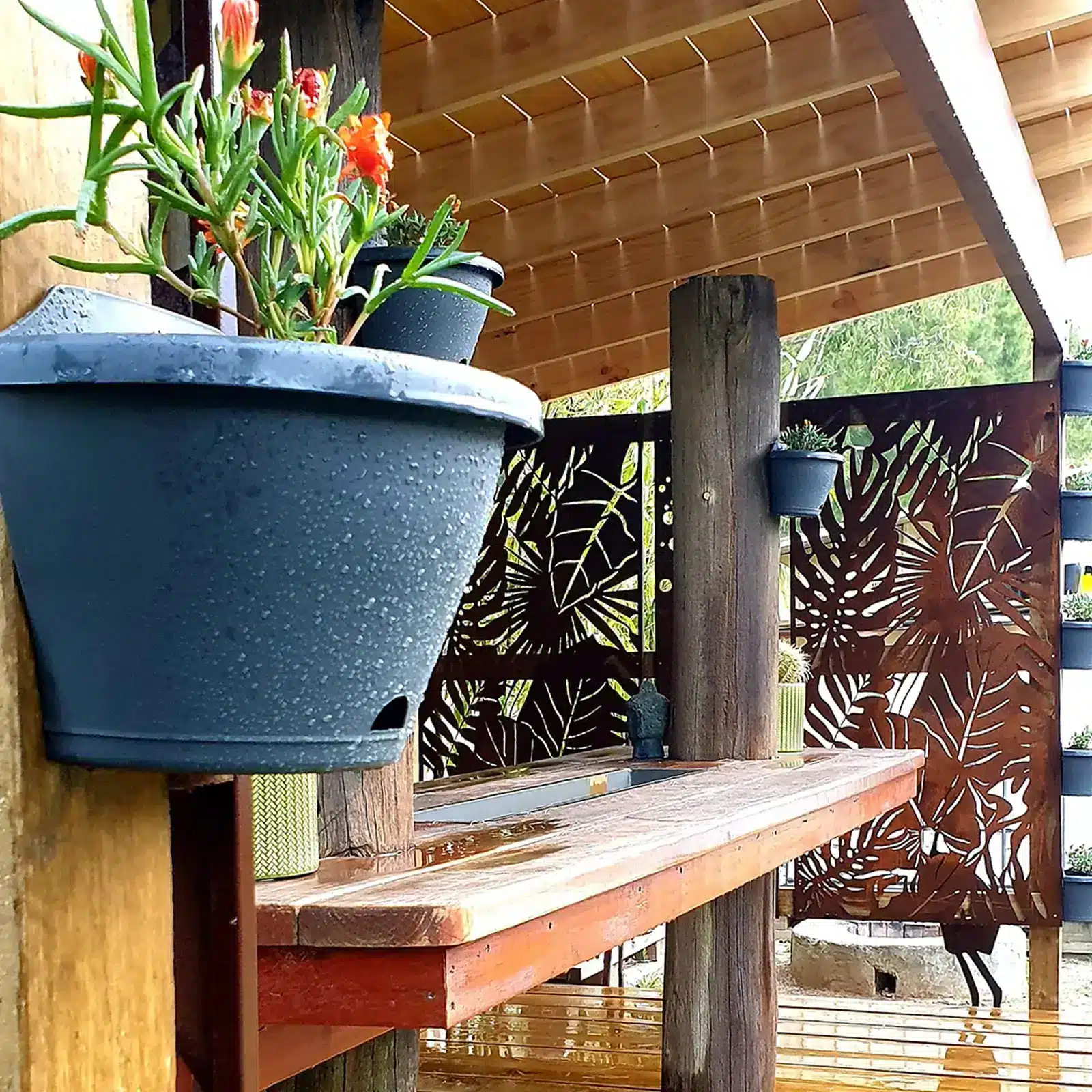 Jack hanging garden-up petite wall pots