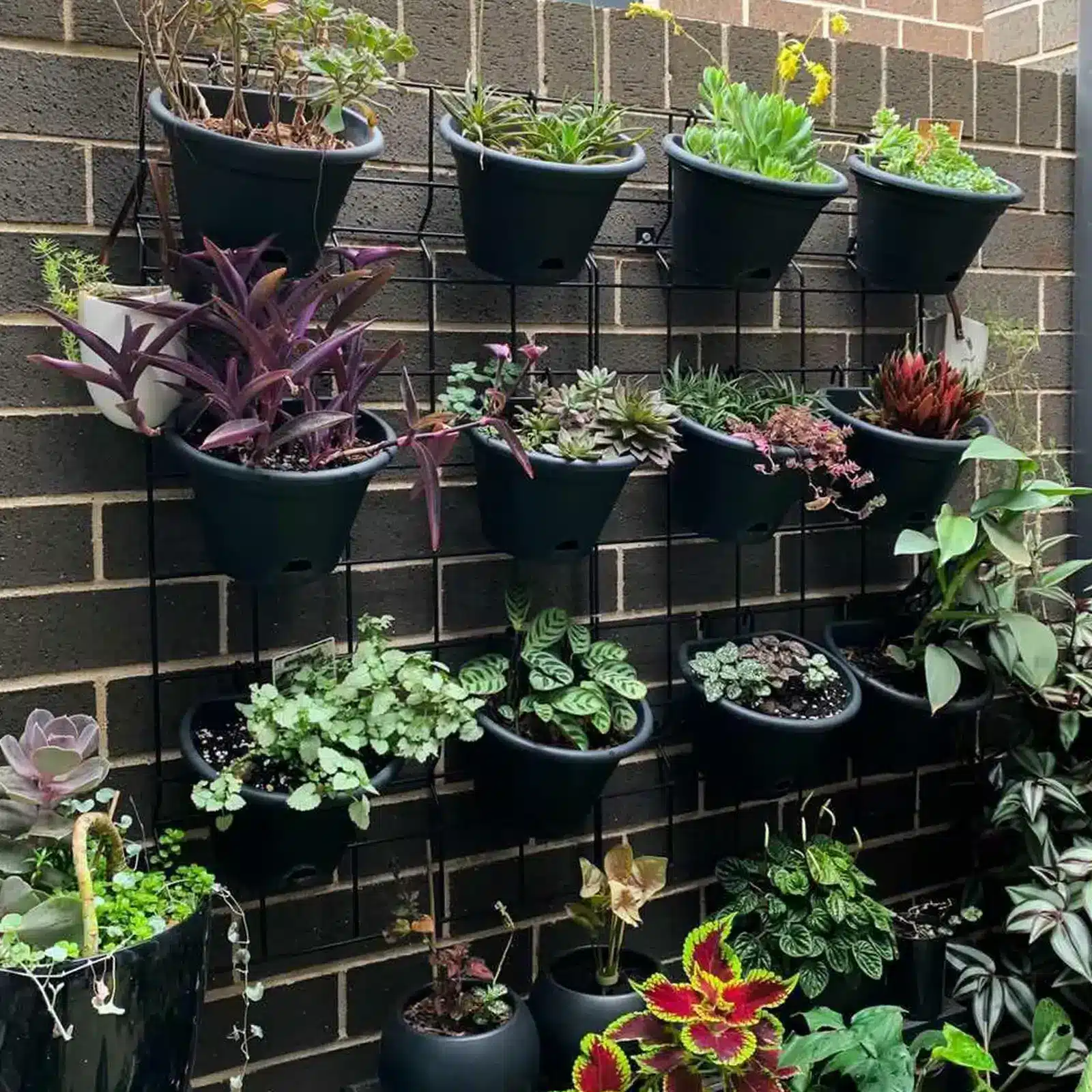 Jack hanging garden setup featuring multiple stacked pots for herbs or plants on a terrace wall