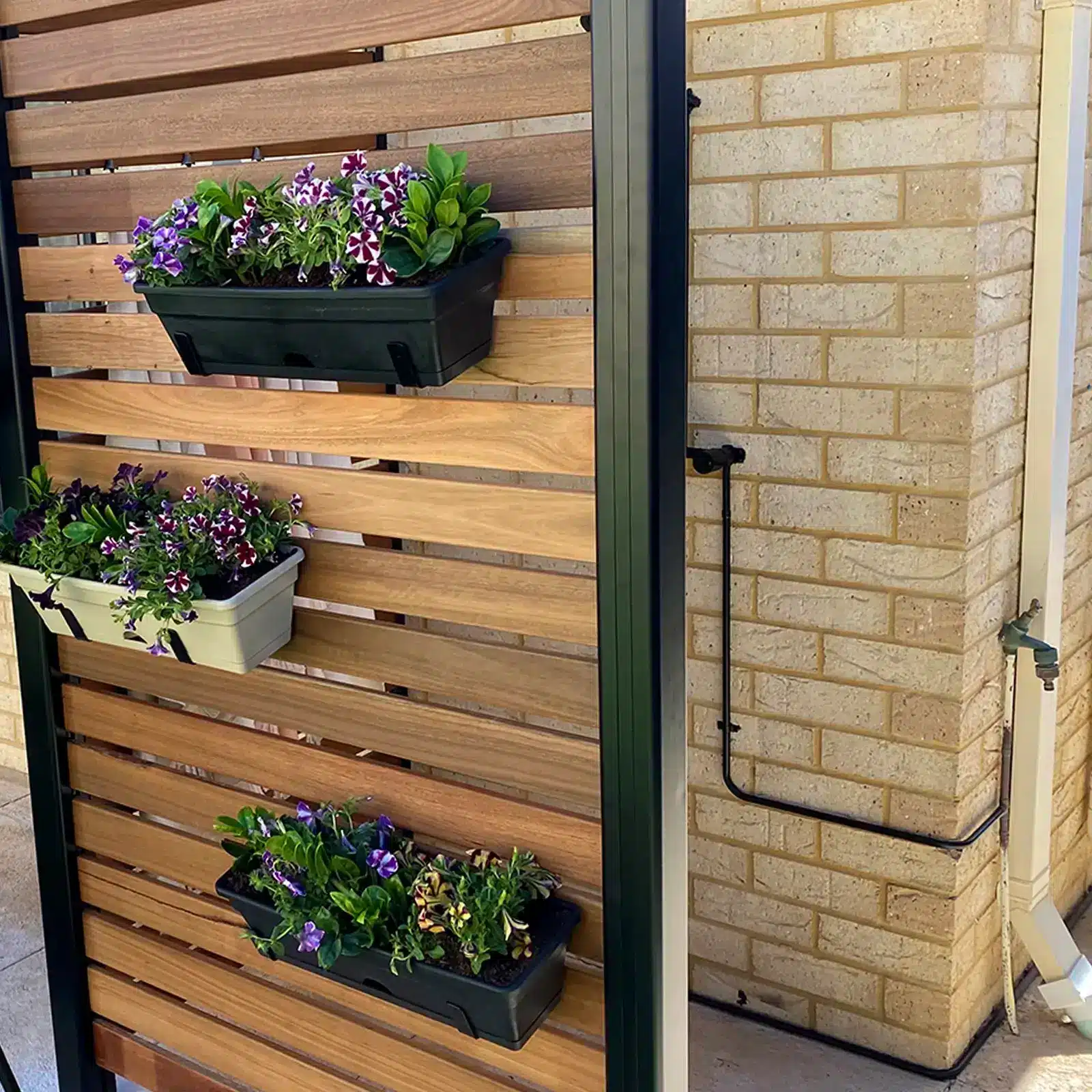 Jack hanging plants garden-up classic pots garden