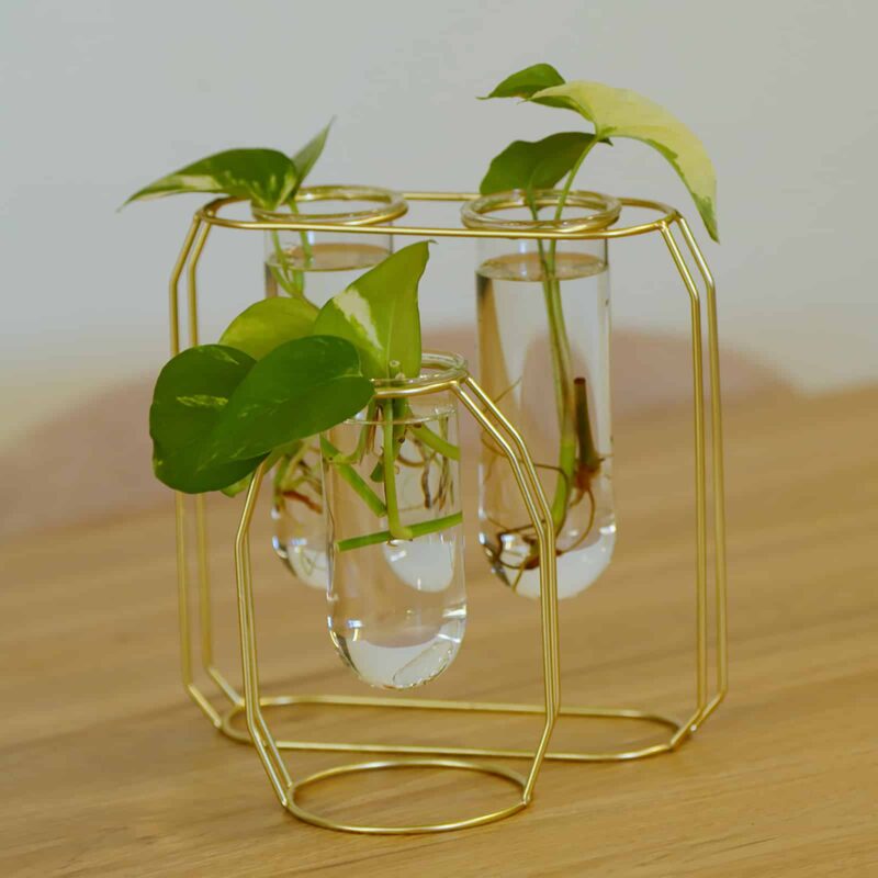 Jack 18902 - Propagation vase - gold - circle