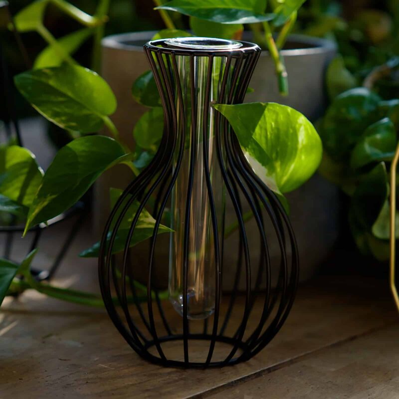 Jack 18907 - Propagation vase - black - bottle