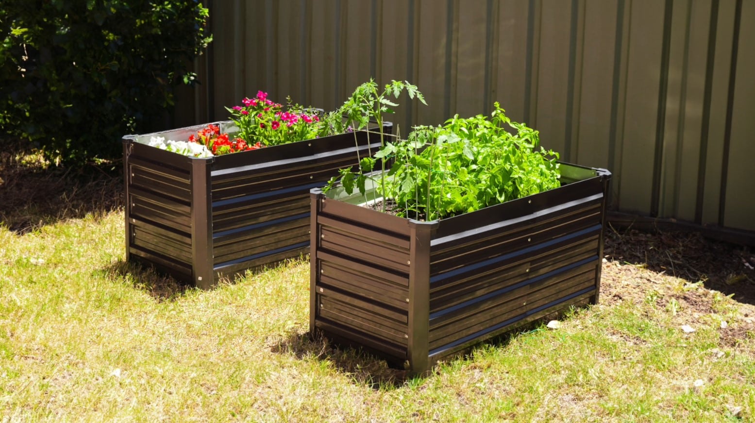 Jack Raised Garden Bed