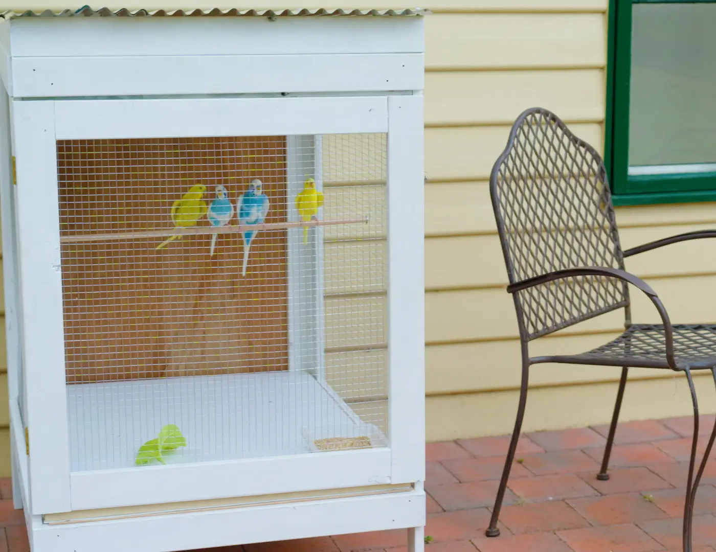 jack garden products aviary mesh bird cage