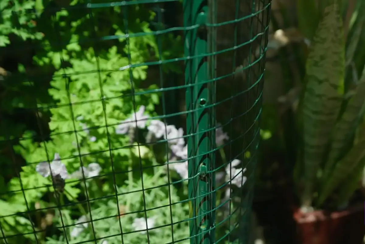 jack garden products garden mesh protect plant