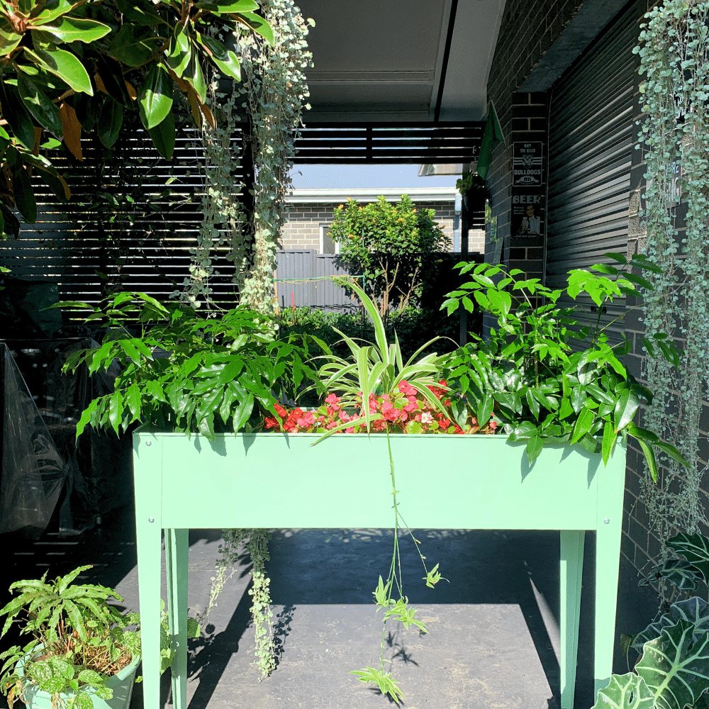 14407 14408 14409 Raised Garden planter pistachio